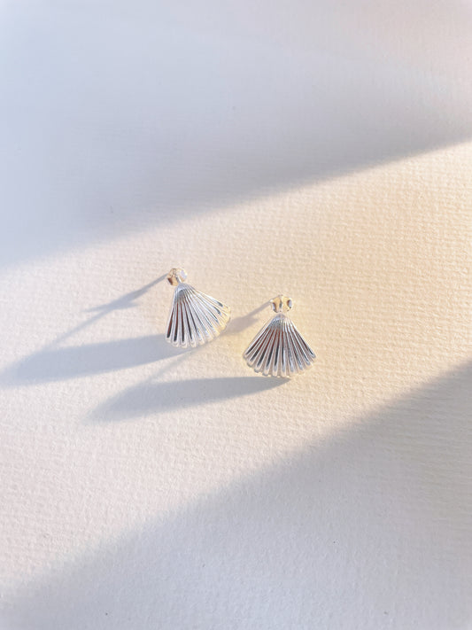 Sterling Silver Shell Earrings